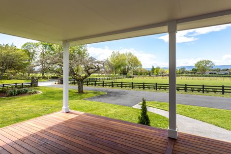 Photo of property in 173 Station Road, Matamata, 3472