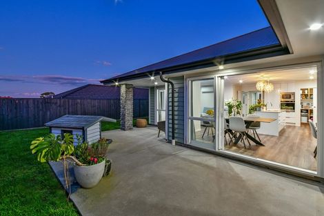 Photo of property in 64 Harriet Johnston Drive, Pokeno, 2402