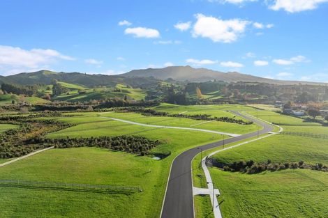 Photo of property in 128 Taraire Road, Pirongia, 3802