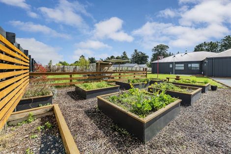 Photo of property in 1719 Hoskyns Road, Kirwee, 7571