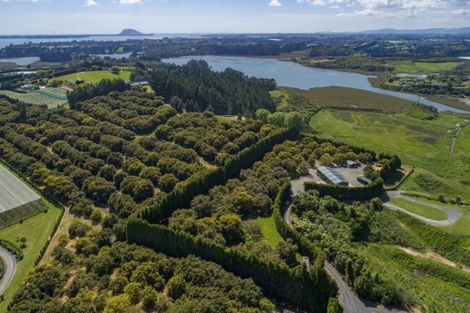 Photo of property in 56g Plummers Point Road, Whakamarama, Tauranga, 3172