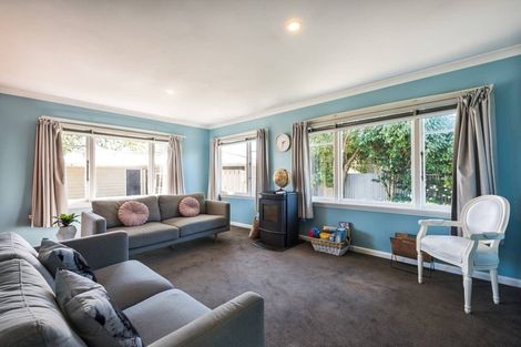 Photo of property in 33 Roker Street, Somerfield, Christchurch, 8024