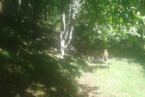 Photo of property in 116 Tauwharenikau Road, Tututawa, Stratford, 4392