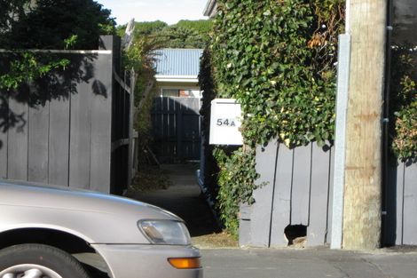 Photo of property in 54-56 Albert Street, Saint Clair, Dunedin, 9012