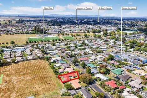 Photo of property in 19 Scott Avenue, Hamilton East, Hamilton, 3216