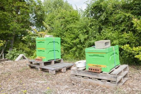 Photo of property in 70a Potae Avenue, Lytton West, Gisborne, 4010