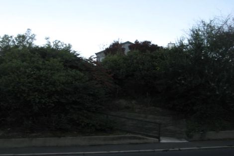 Photo of property in 66 Mailer Street, Mornington, Dunedin, 9011
