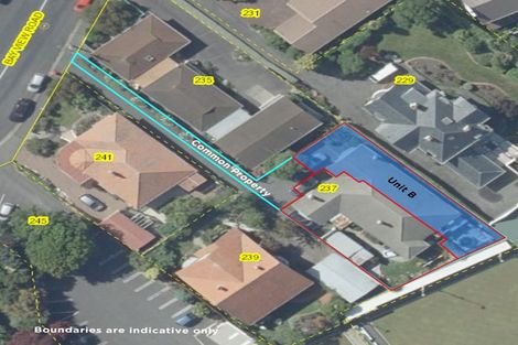 Photo of property in 237b Bay View Road, Saint Clair, Dunedin, 9012