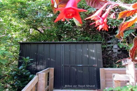 Photo of property in 17 Koromiko Road, Aro Valley, Wellington, 6012