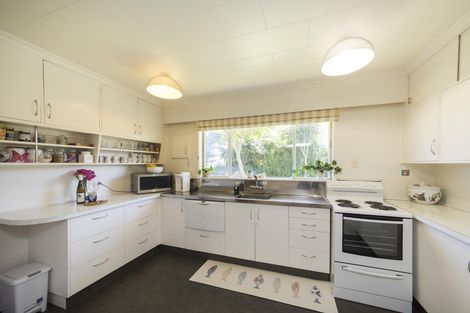 Photo of property in 50 Windsor Street, Terrace End, Palmerston North, 4410