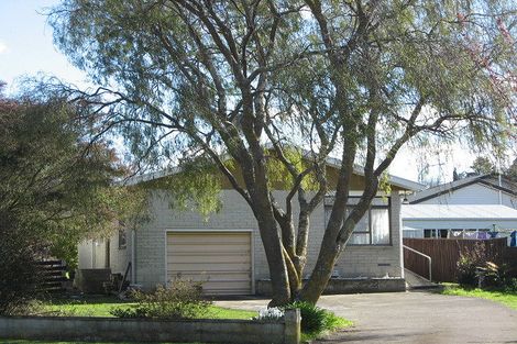 Photo of property in 38 Porangahau Road, Waipukurau, 4200