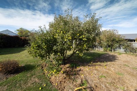 Photo of property in 46 Creek Road, Allenton, Ashburton, 7700