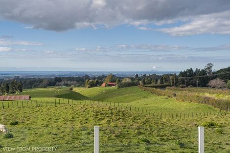 Photo of property in 1102 No 2 Road, Te Ranga, Te Puke, 3182
