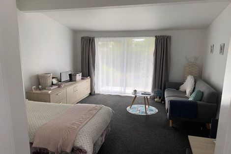 Photo of property in 594 Barbadoes Street, Edgeware, Christchurch, 8013