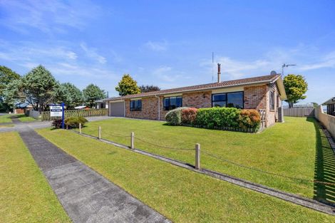Photo of property in 59 Sheffield Street, Matamata, 3400