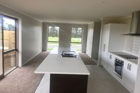 Photo of property in 17 Olivia Road, Pukekohe, 2120