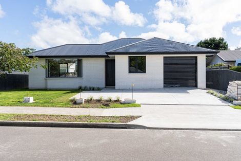 Photo of property in 1 Lancewood Avenue, Feilding, 4702