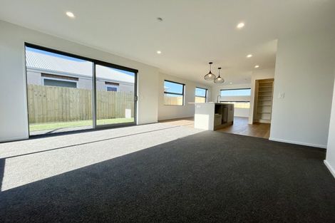 Photo of property in 21 Rita Angus Road, Belfast, 8051