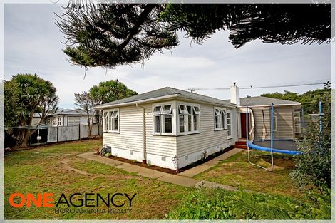 Photo of property in 21 Rata Street, Levin, 5510