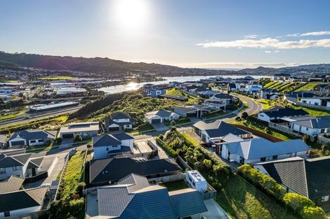 Photo of property in 145 John Burke Drive, Aotea, Porirua, 5024