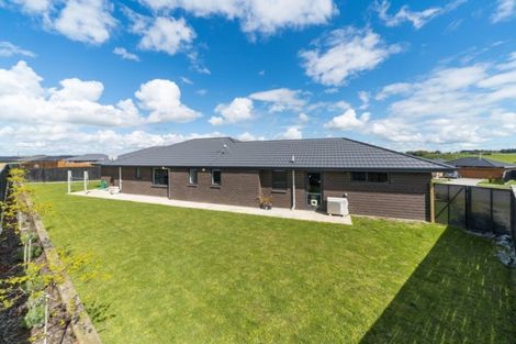 Photo of property in 24 Macdonald Heights, Feilding, 4702