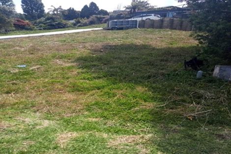 Photo of property in 117 Waireka Place, Whangamata, 3620