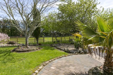 Photo of property in 337 White Road, Broadlands, Reporoa, 3081