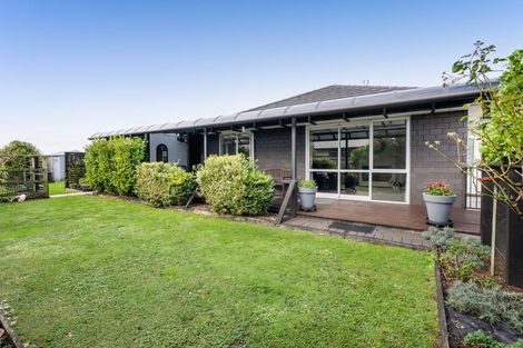 Photo of property in 95 Princess Street, Waitara, 4320
