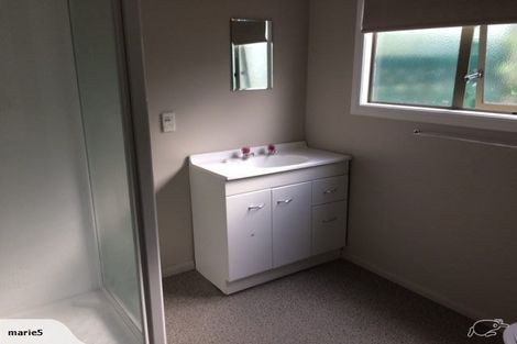 Photo of property in 253 Courtenay Street, Strandon, New Plymouth, 4312