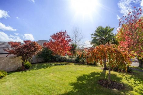 Photo of property in 12 Elmwood Avenue, Witherlea, Blenheim, 7201