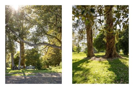 Photo of property in 5 Gellibrand Place, Omokoroa, 3114