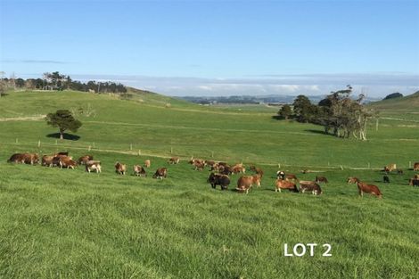 Photo of property in 182 Morrison Road, Arapohue, Dargaville, 0374