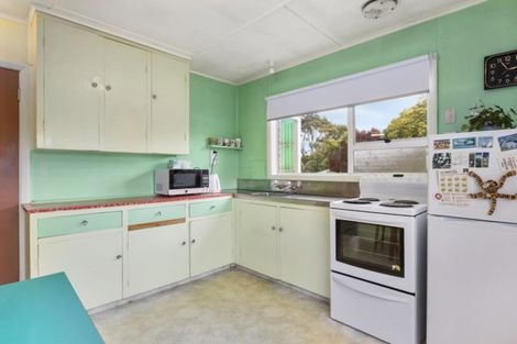 Photo of property in 154 Riselaw Road, Calton Hill, Dunedin, 9012