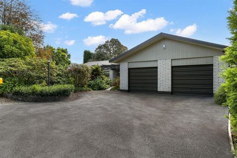 Photo of property in 61 Whitehead Avenue, Te Puke, 3183