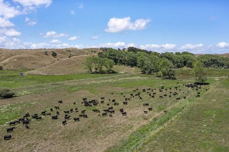 Photo of property in 429 Te Akau South Road, Te Akau, Ngaruawahia, 3793