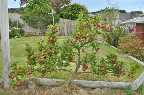 Photo of property in 93 Elwyn Crescent, Green Island, Dunedin, 9018