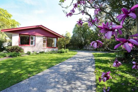 Photo of property in 45 Rountree Street, Upper Riccarton, Christchurch, 8041