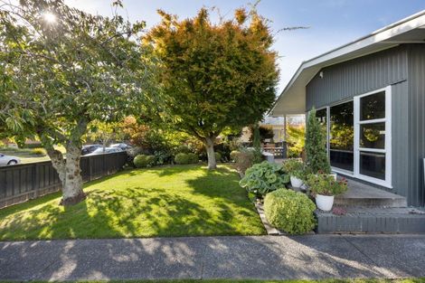 Photo of property in 46 Wake Street, Chartwell, Hamilton, 3210