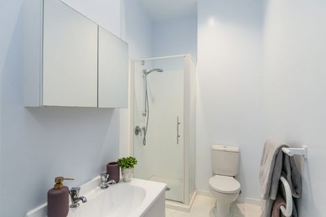 Photo of property in Mendosa Terraces Apartments, 8/9 Ebor Street, Te Aro, Wellington, 6011