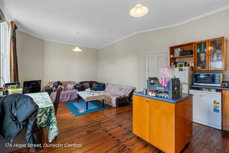 Photo of property in 17 Hope Street, Dunedin Central, Dunedin, 9016