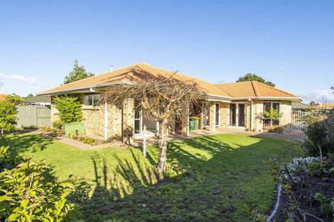 Photo of property in 117 Gloucester Road, Mount Maunganui, 3116