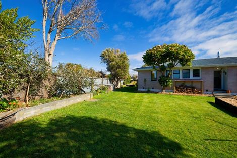 Photo of property in 182a Beach Road, Kaikoura, 7300