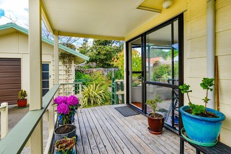 Photo of property in 4 Danvers Street, Havelock North, 4130