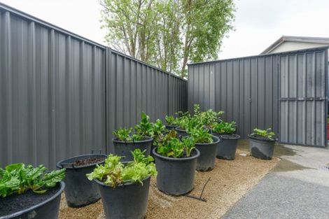 Photo of property in 9 Palliser Place, Poraiti, Napier, 4112