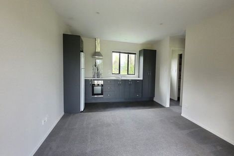 Photo of property in 42 Croft Lane, Glenview, Hamilton, 3282