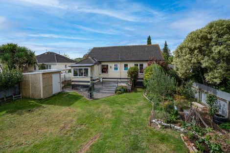 Photo of property in 20 Ihle Street, Terrace End, Palmerston North, 4410