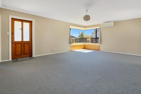 Photo of property in 50 Winchester Street, Levin, 5510