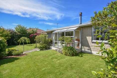 Photo of property in 117 Elgin Road, Kenmure, Dunedin, 9011