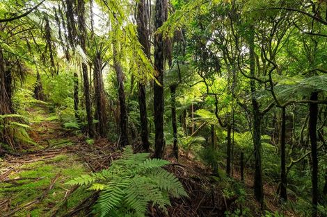 Photo of property in 360a Busby Road, Tahawai, Katikati, 3170