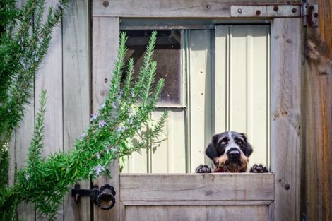 Photo of property in 27 Dale Road, Raumati South, Paraparaumu, 5032